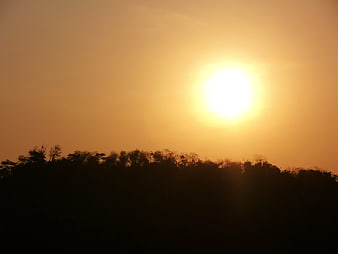 Silhouette of trees against a bright orange sunset sky