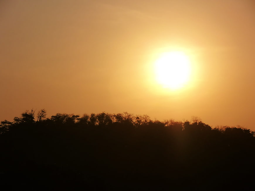 Silhouette of trees against a bright orange sunset sky