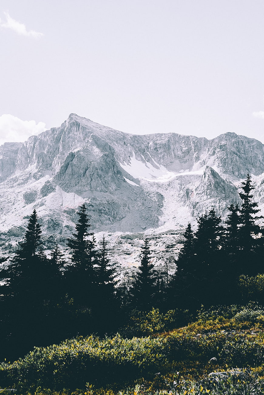 Majestic Mountain Peak with Snow and Pine Trees