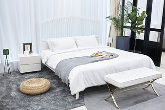 Modern White Bedroom Interior with Grey Rug and Plants