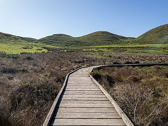 Wooden boardwalk path winding through green hills and marshland