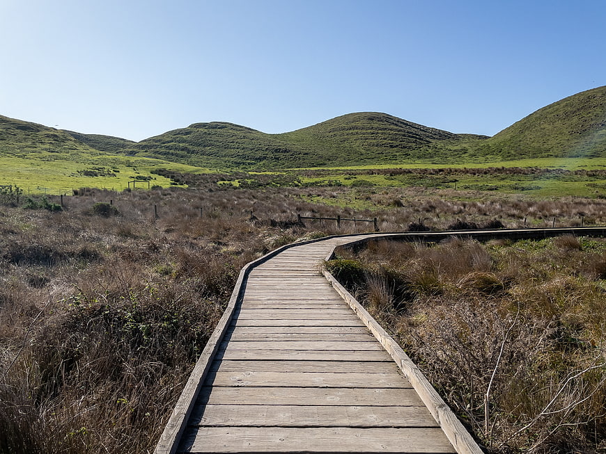 Wooden boardwalk path winding through green hills and marshland