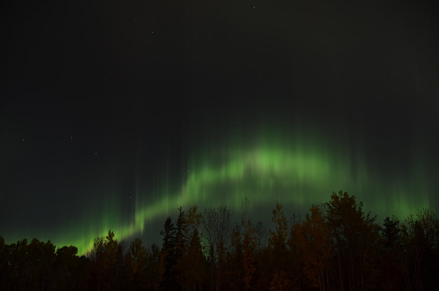 Green Aurora Borealis Over Dark Forest Silhouette