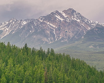 Snow-capped mountain peak rising above dense green coniferous forest