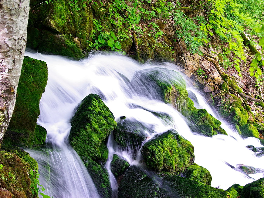 Mossy rocks and flowing water in a lush green forest stream
