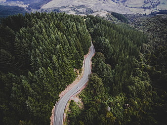 Aerial View of Winding Road Through Dense Green Forest