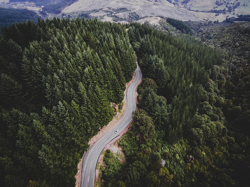 Aerial View of Winding Road Through Dense Green Forest