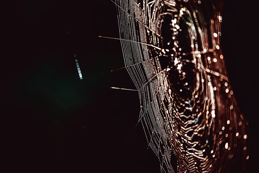 Macro Spiderweb With Dew Drops And Bokeh Lights