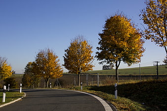 Winding country road with golden autumn trees and blue sky