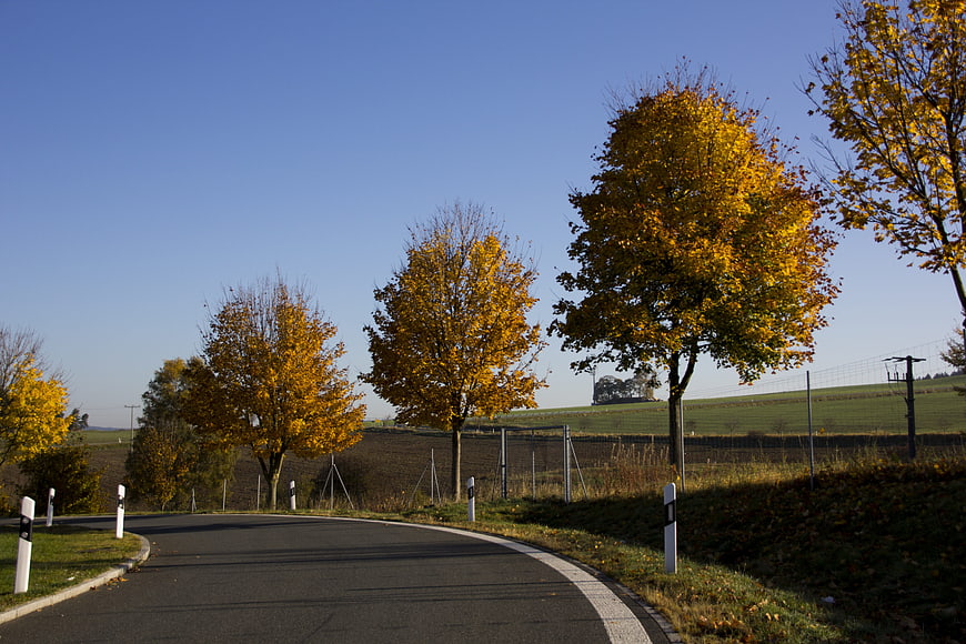 Winding country road with golden autumn trees and blue sky