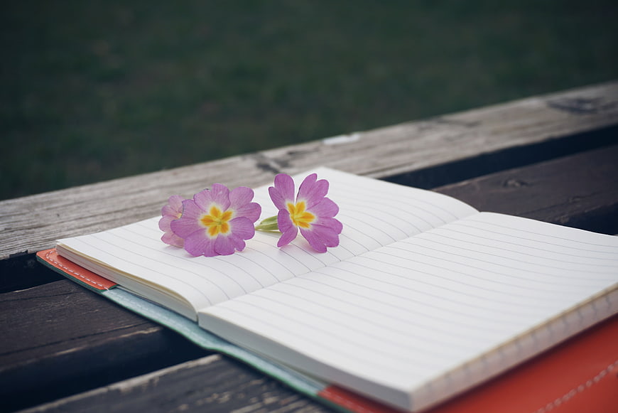 Pink flowers on open notebook on wooden bench