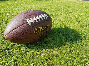 Wilson NFL American Football on Green Grass Field