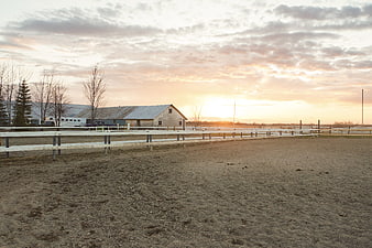 Rural horse farm with white fences at sunset