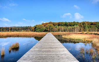 Wooden Boardwalk Through Autumn Wetland Landscape