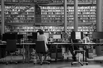 Students studying at computers in a modern university library