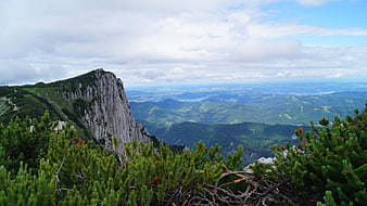 Panoramic Alpine Mountain View with Rocky Cliff and Green Forest