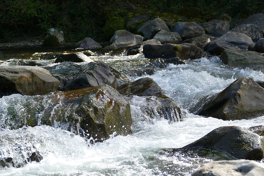Rushing Mountain Stream Flowing Over Rocks in Forest