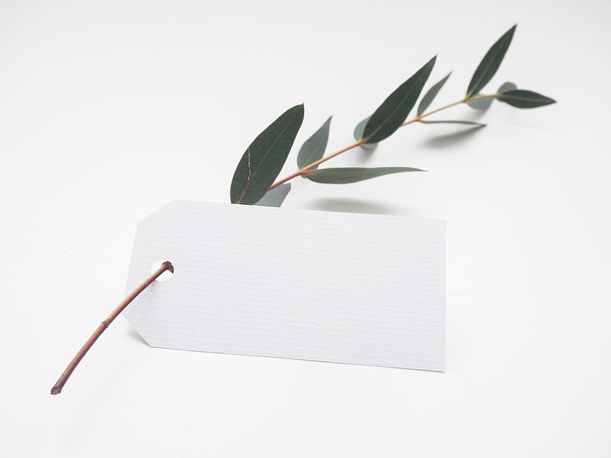 Blank white gift tag with eucalyptus branch on white background