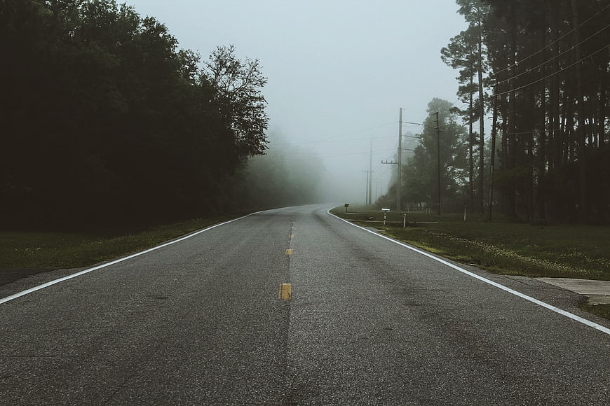 Foggy rural road disappearing into misty forest