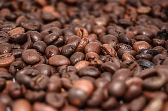 Close-up of roasted coffee beans with shallow depth of field