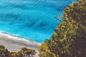Aerial View of Turquoise Ocean and Pine Trees on Sandy Beach