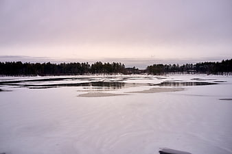Serene Frozen Lake Landscape with Snow and Pine Forest
