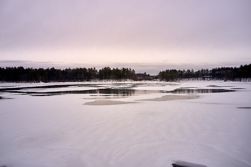 Serene Frozen Lake Landscape with Snow and Pine Forest