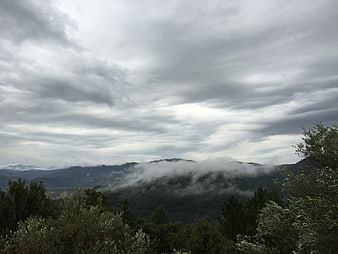 Misty mountain landscape with clouds and forest