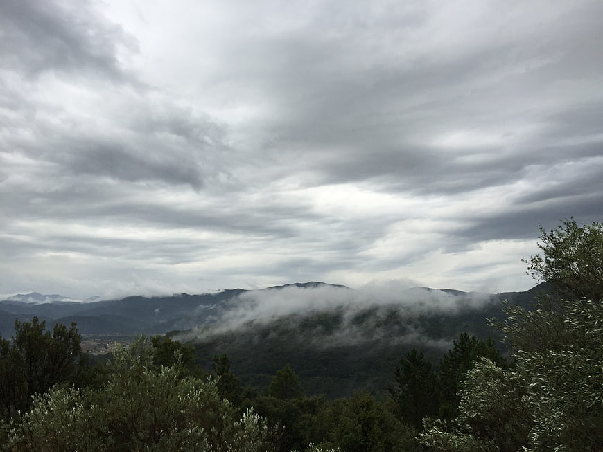 Misty mountain landscape with clouds and forest