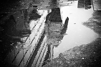 Black and white rain puddle reflection on wet cobblestone street
