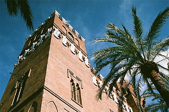 Low angle view of historic brick tower with palm trees