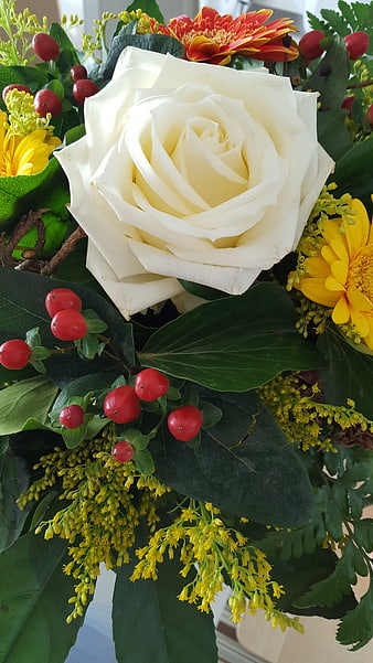 Close-up of white rose with red berries and yellow flowers