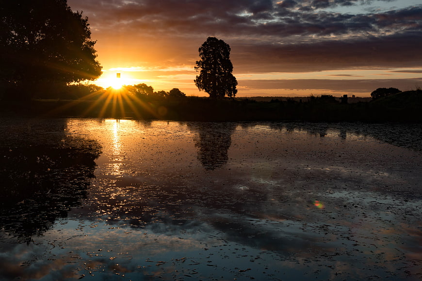 Golden Sunrise Over Lake with Silhouetted Trees and Reflections