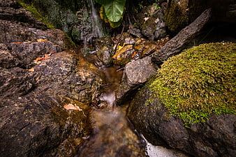 Mossy rocks and flowing stream in forest