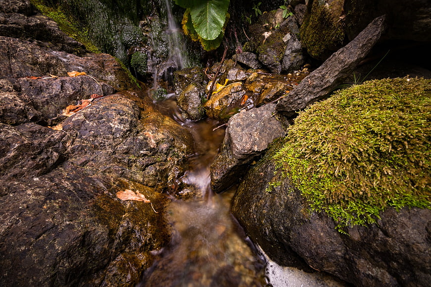 Mossy rocks and flowing stream in forest