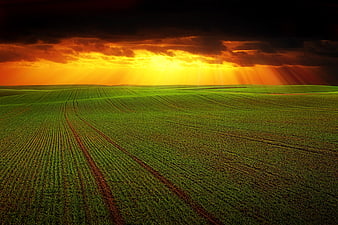 Dramatic Sunset Over Green Agricultural Field With Sun Rays