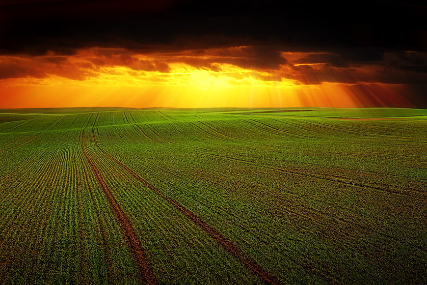 Dramatic Sunset Over Green Agricultural Field With Sun Rays