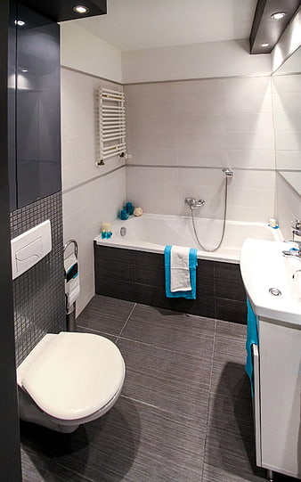 Modern Bathroom Interior with Bathtub and Toilet