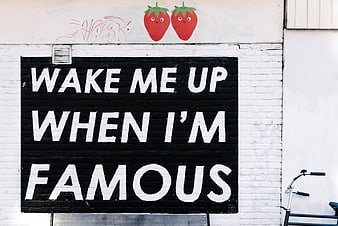Wake Me Up When I'm Famous Street Art Mural