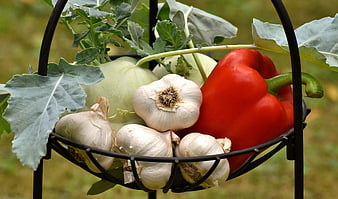 Fresh vegetables in a black wire basket with garlic and red pepper