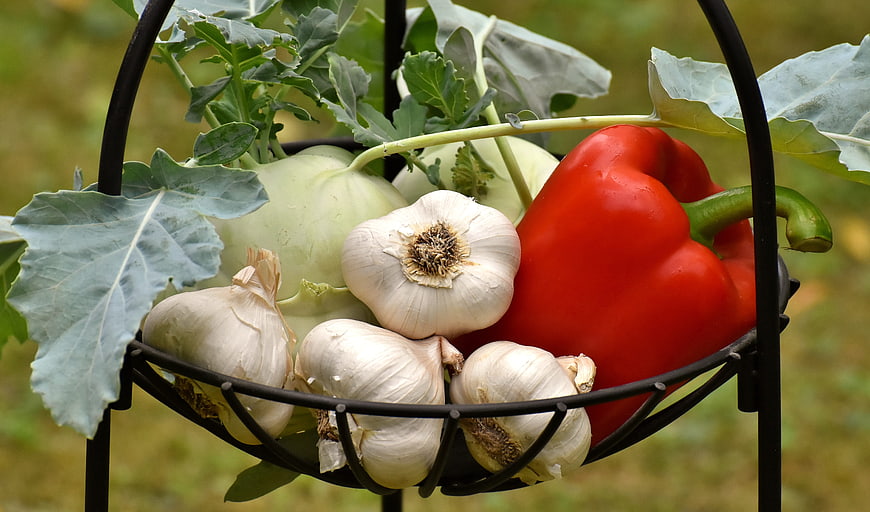 Fresh vegetables in a black wire basket with garlic and red pepper