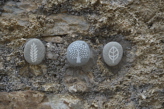 Three painted stones with nature symbols on a textured rock wall