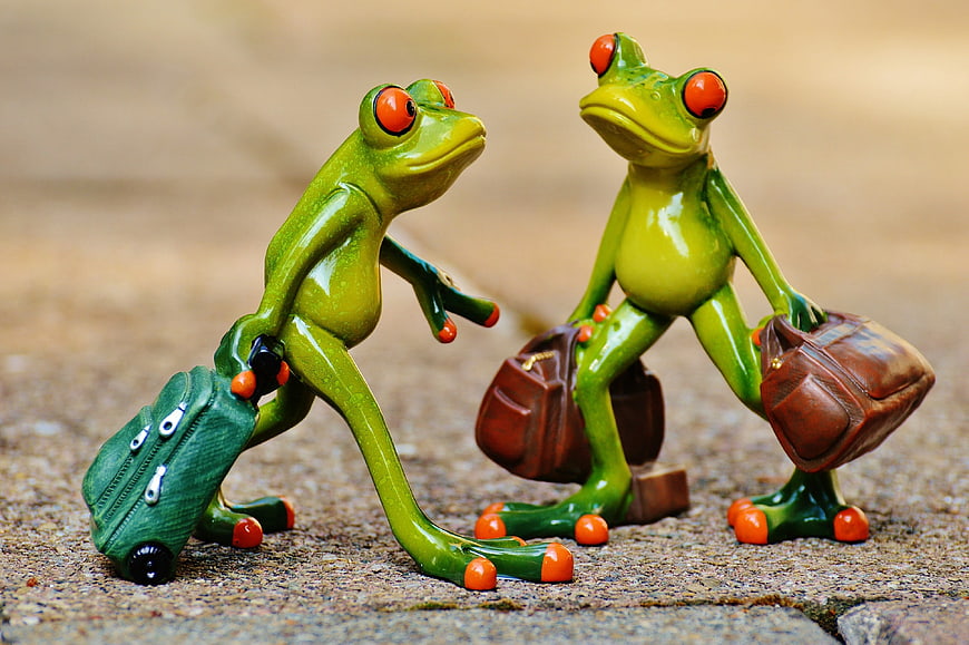 Cute ceramic frog figurines with luggage walking on pavement