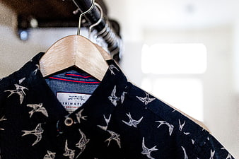 Blue Bird Pattern Shirt on Wooden Hanger