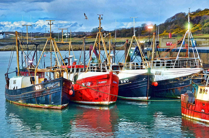 Colorful Fishing Boats Docked in Harbor
