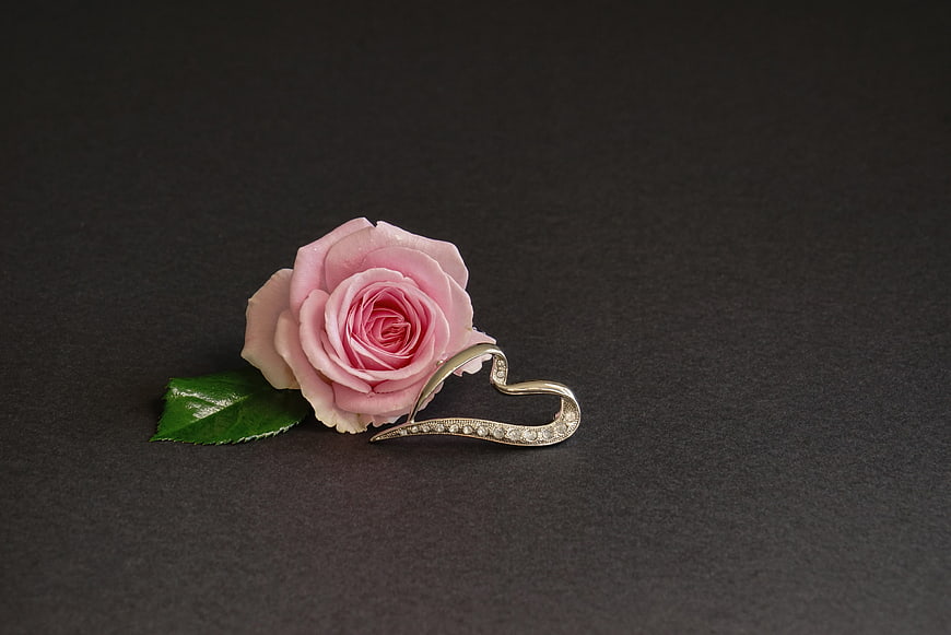 Pink Rose and Heart-Shaped Diamond Brooch on Dark Background