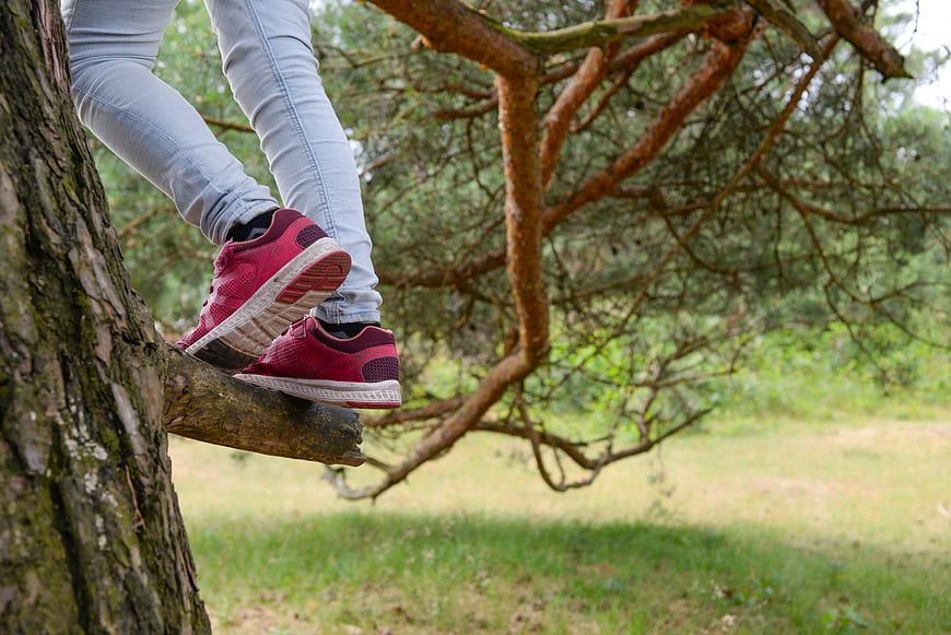 Woman in red sneakers climbing a pine tree branch