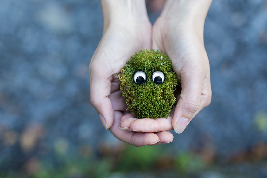 Cute moss ball with googly eyes held in cupped hands