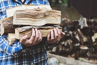 Man in flannel shirt holding stack of firewood