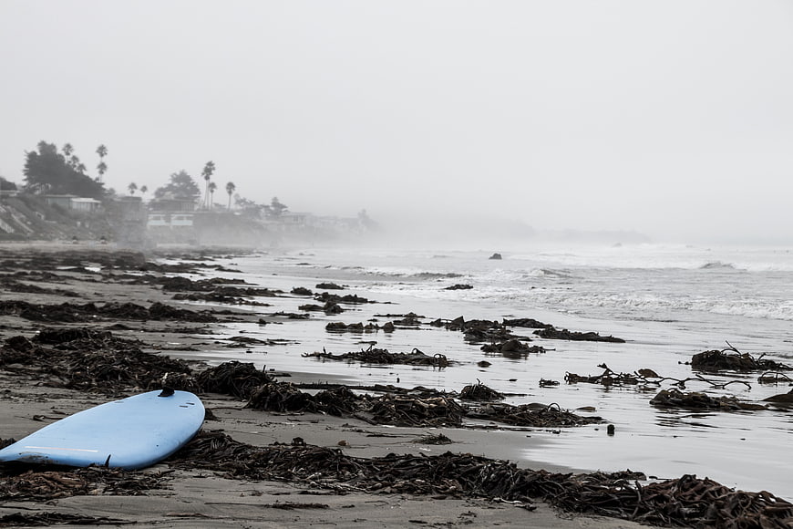 Blue surfboard on foggy beach with seaweed and ocean waves